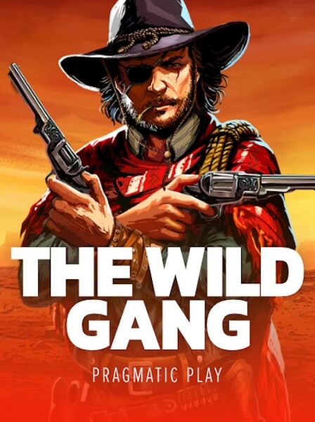 Inside MegaSlots Hub: Exclusive Interviews with Slot Game Designers